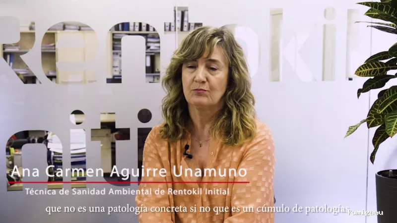 Rentokil Control de Plagas en Alicante