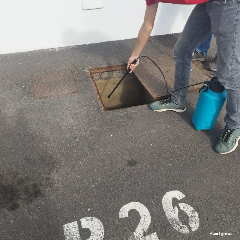 TenePlagas Fuerteventura