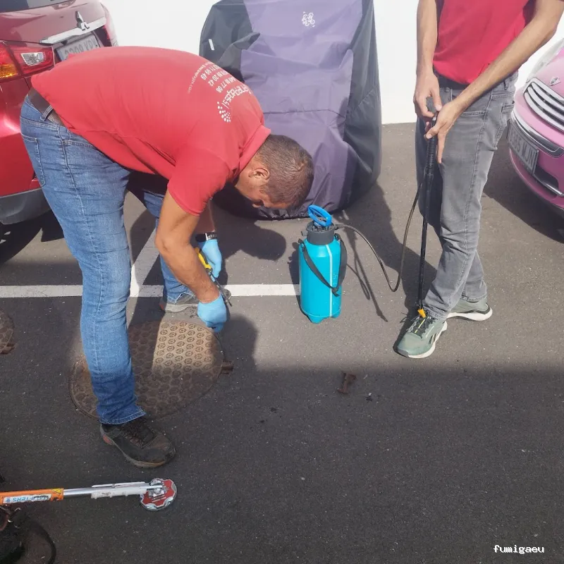 TenePlagas Fuerteventura