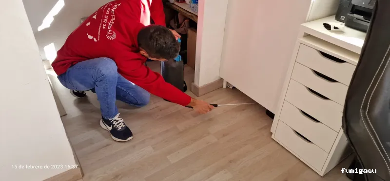 TenePlagas Fuerteventura