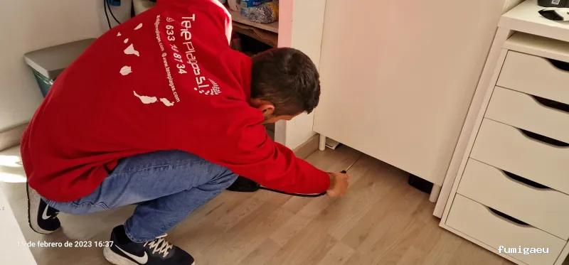 TenePlagas Fuerteventura