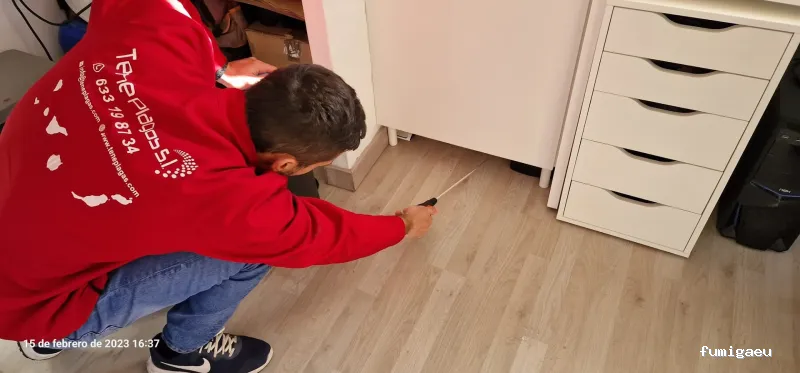 TenePlagas Fuerteventura