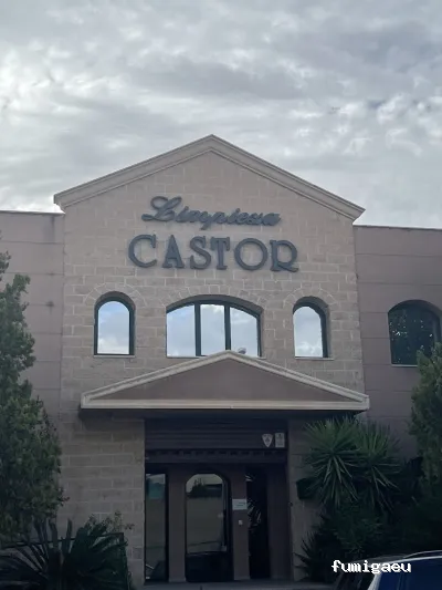 CASTOR Empresa de limpieza Granada