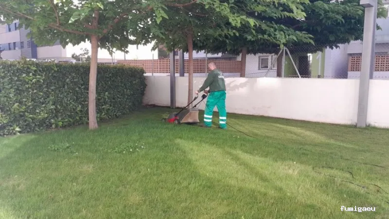 CASTOR Empresa de limpieza Granada