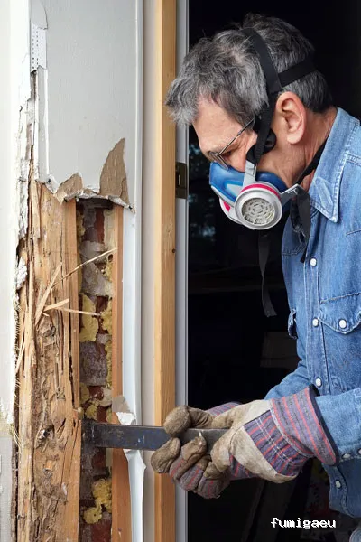 Irabia Control de Plagas - Navarra