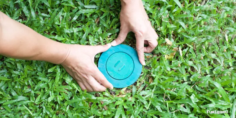 Irabia Control de Plagas - Navarra