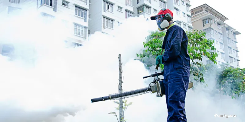 Irabia Control de Plagas - Navarra