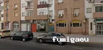 Fumigaciones Montequinto
