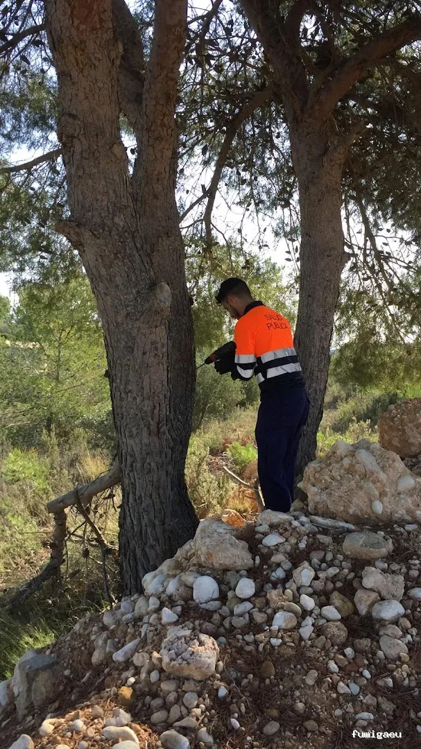 Campos Serrano Biólogos