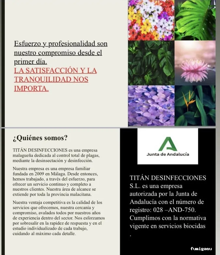 Titán Desinfecciones S.L