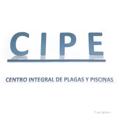 Cipe
