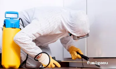 Agroquimicos Montesinos - AMBISANO Control de Plagas