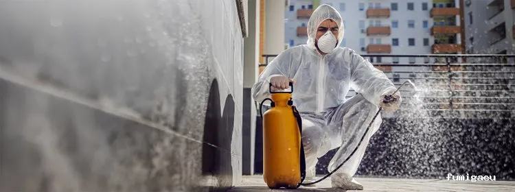 Agroquimicos Montesinos - AMBISANO Control de Plagas