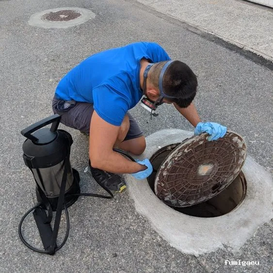 Agroquimicos Montesinos - AMBISANO Control de Plagas
