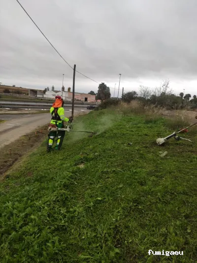 Grupo Fertiolca S.L.