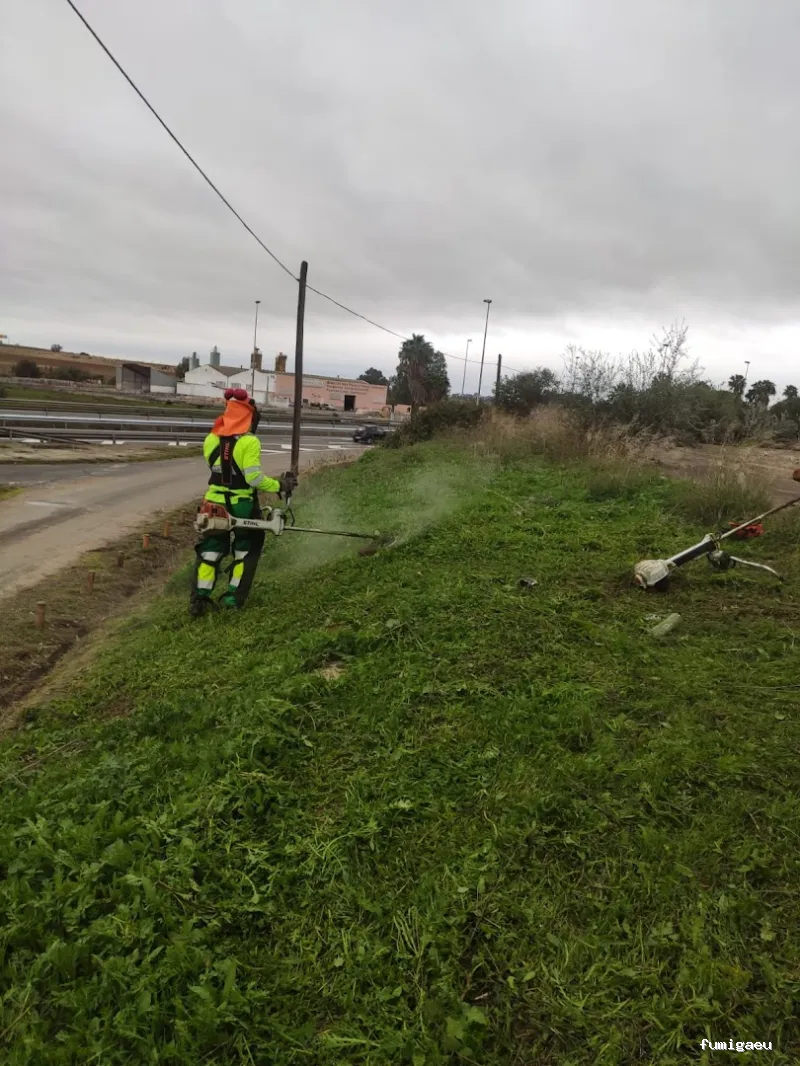 Grupo Fertiolca S.L.