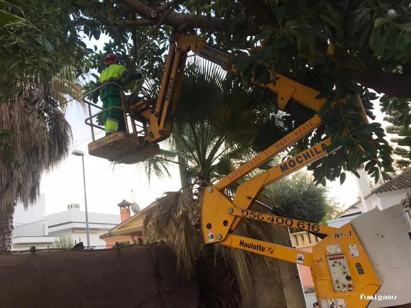 Grupo Fertiolca S.L.