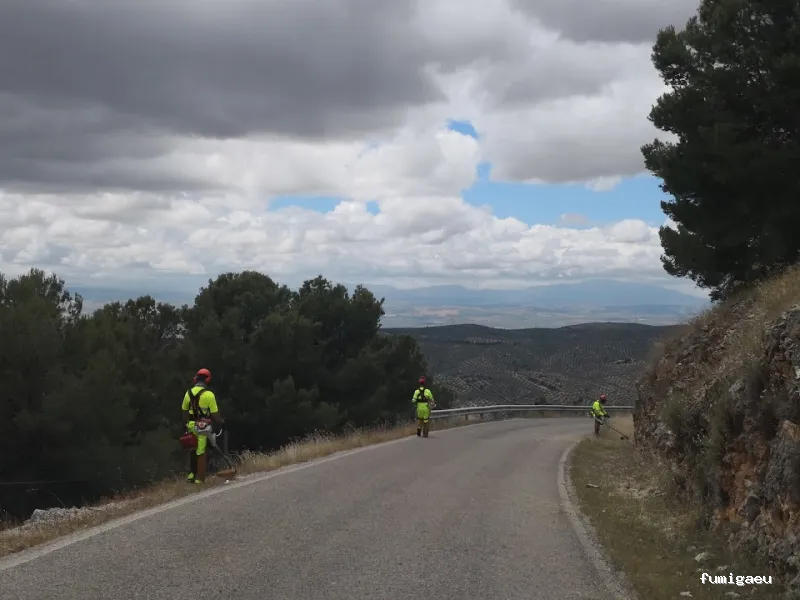 Grupo Fertiolca S.L.