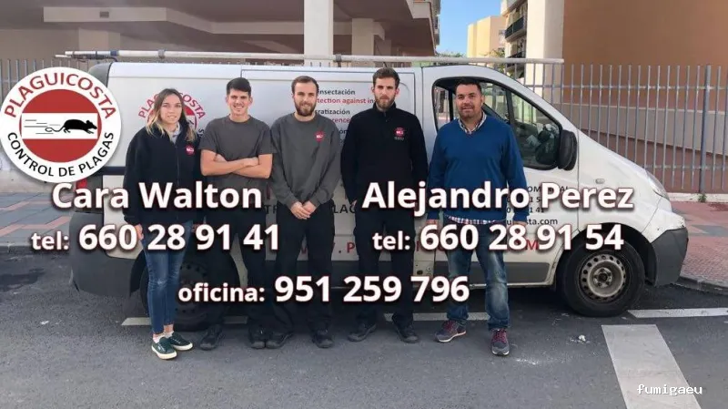 Plaguicosta Control De Plagas