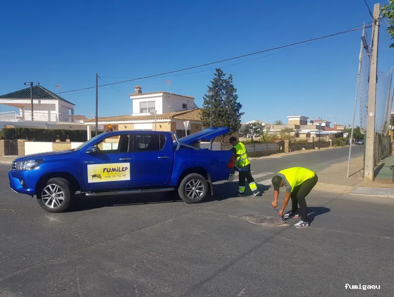 Control de Plagas Fumilep