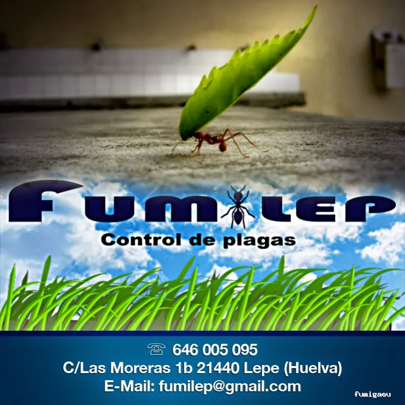 Control de Plagas Fumilep
