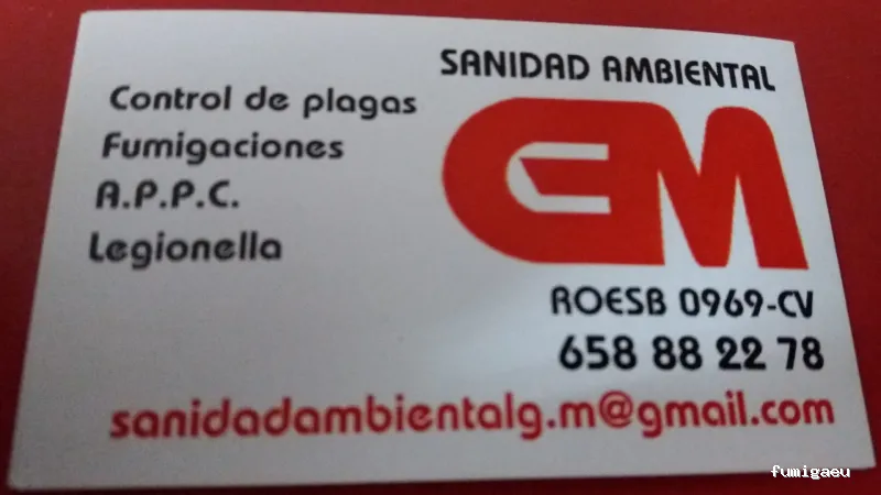 G M Sanidad Ambiental