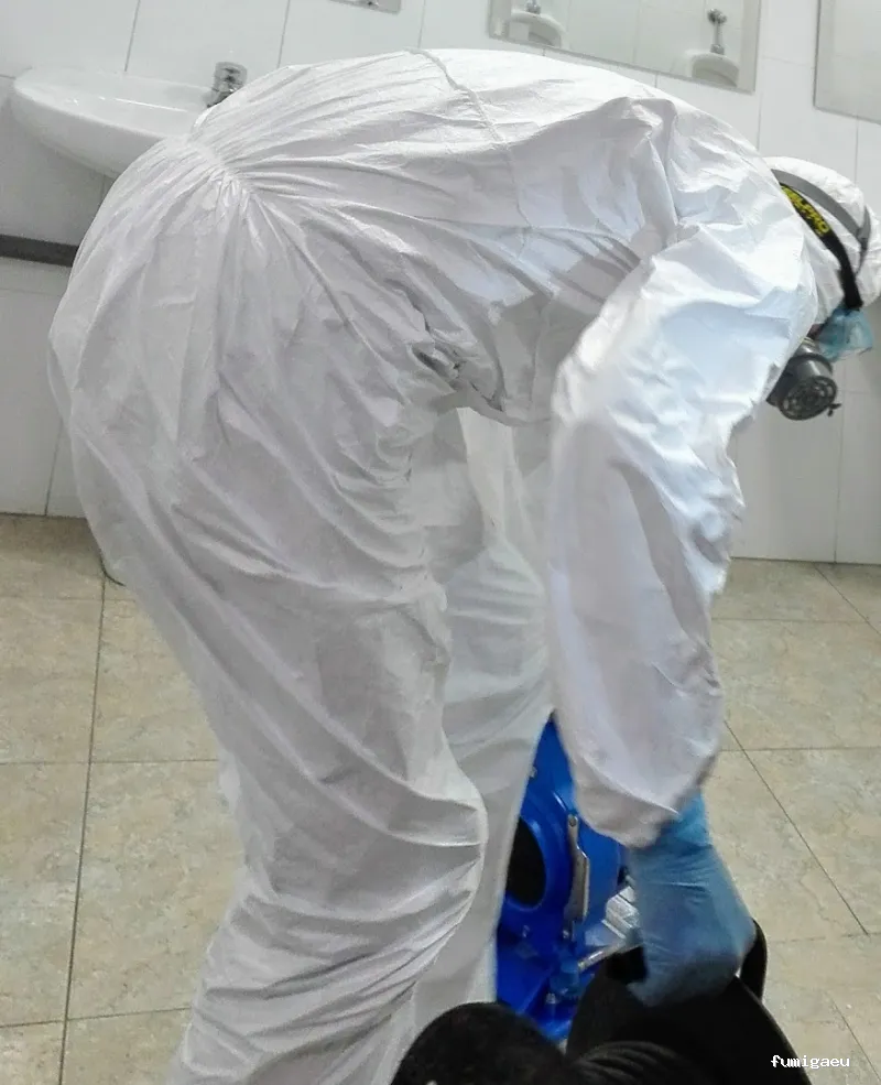 G M Sanidad Ambiental