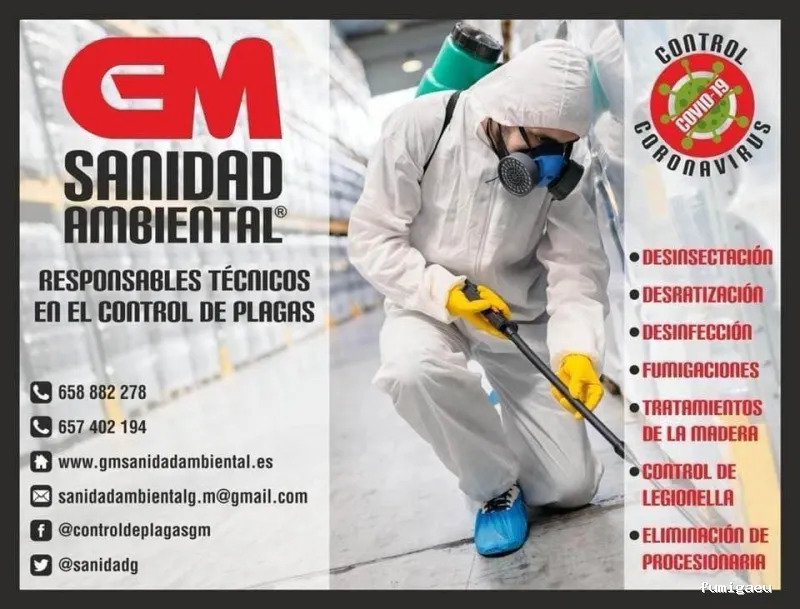 G M Sanidad Ambiental