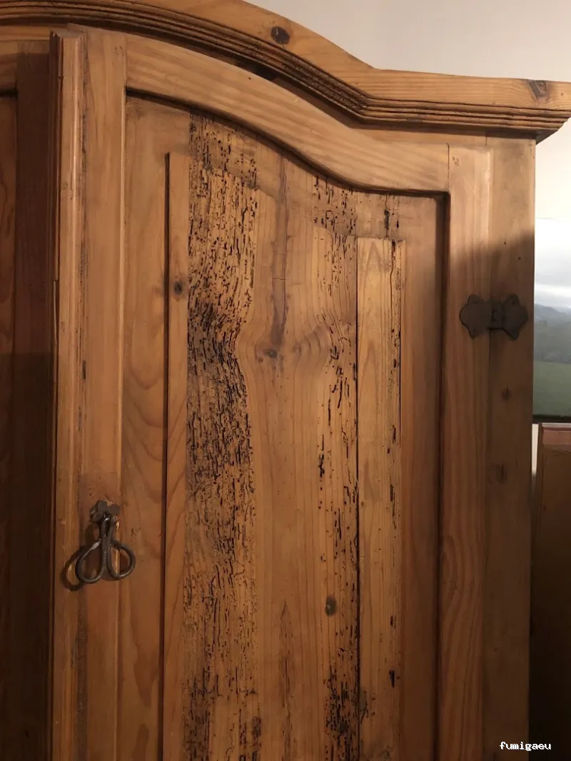 Control de Plagas Fuentes