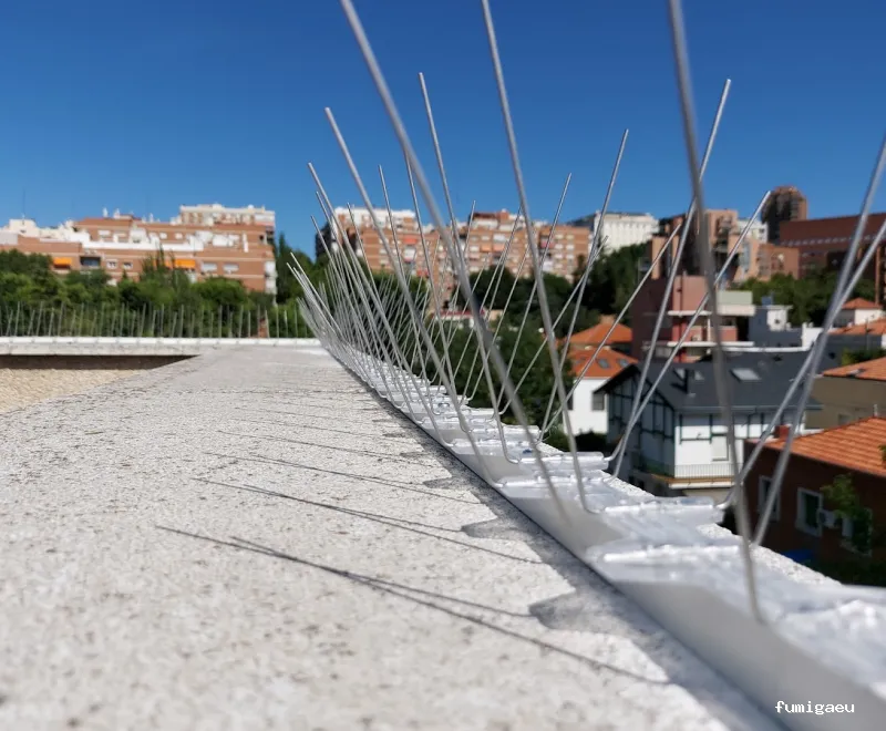 Desin. Servicios Integrales SL