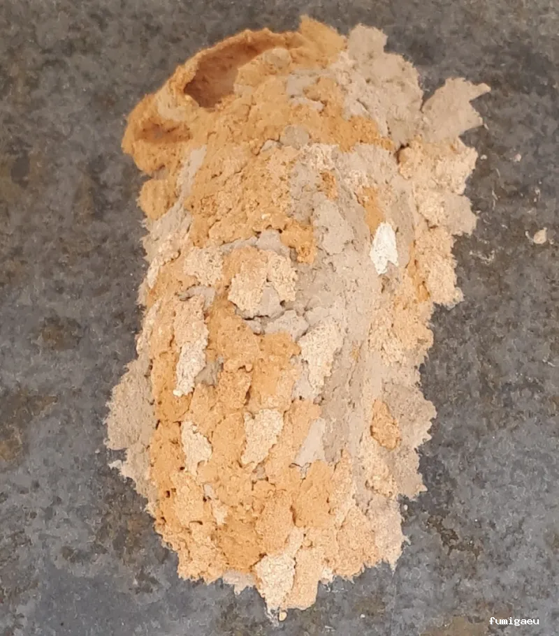 Desin. Servicios Integrales SL