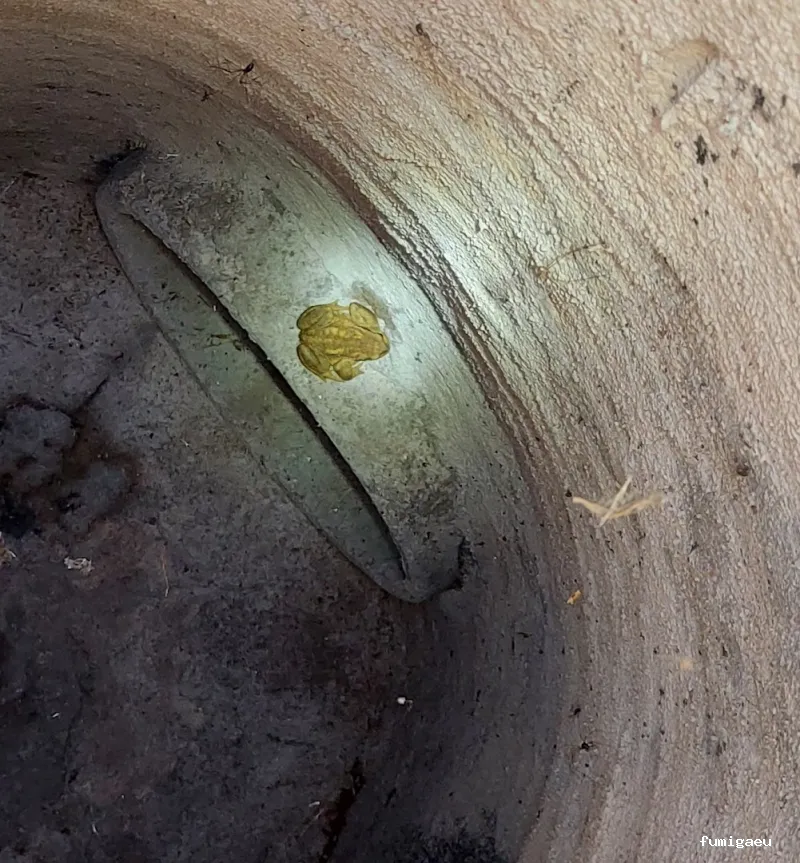 Desin. Servicios Integrales SL