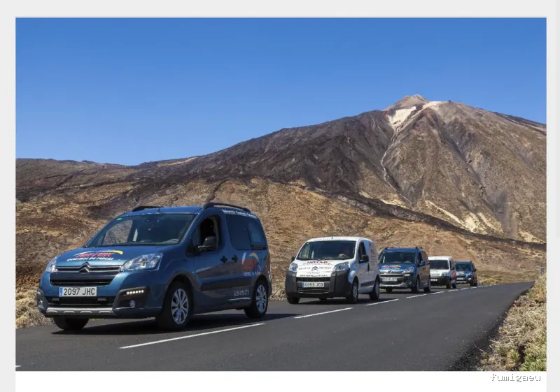 Hayek Empresa de Control de Plagas