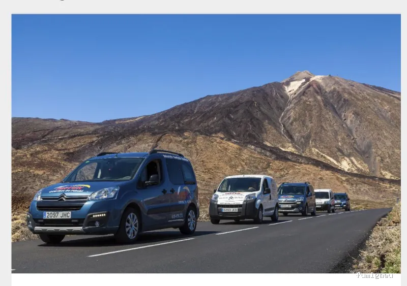 Hayek Empresa de Control de Plagas