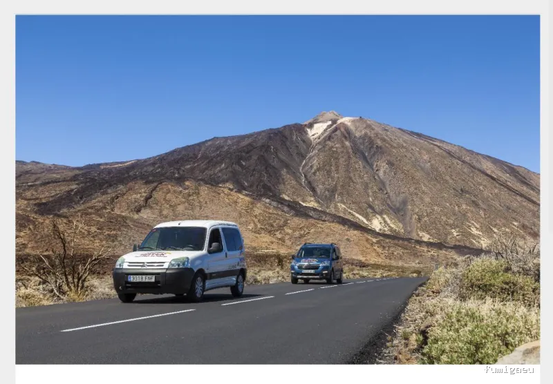 Hayek Empresa de Control de Plagas