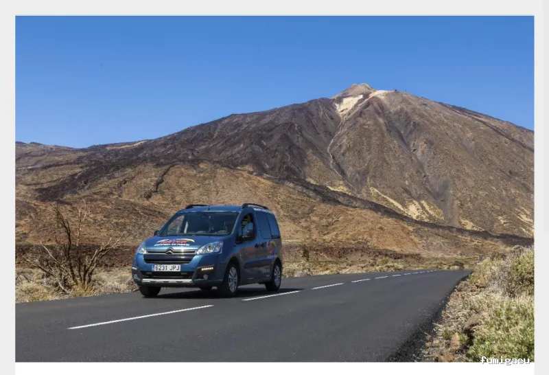 Hayek Empresa de Control de Plagas