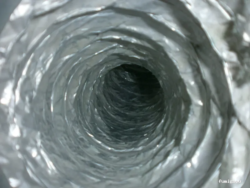 SELVAGGIA Higiene Ambiental