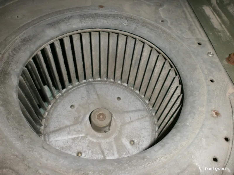 SELVAGGIA Higiene Ambiental