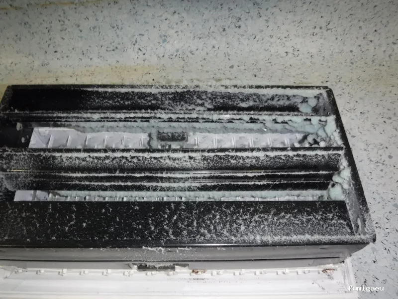 SELVAGGIA Higiene Ambiental