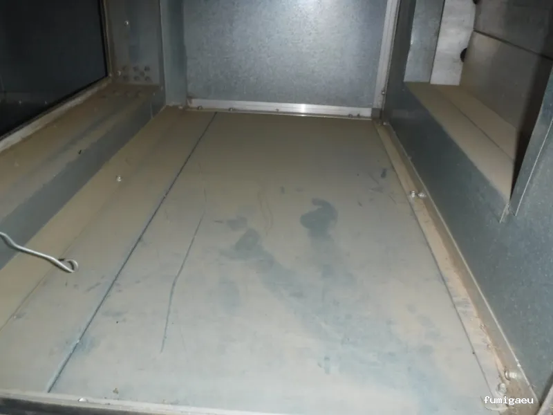 SELVAGGIA Higiene Ambiental