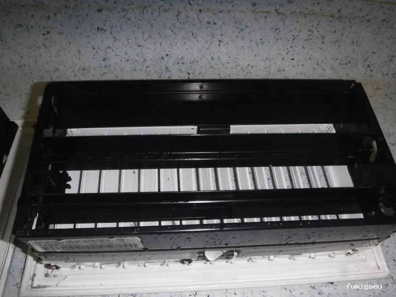 SELVAGGIA Higiene Ambiental