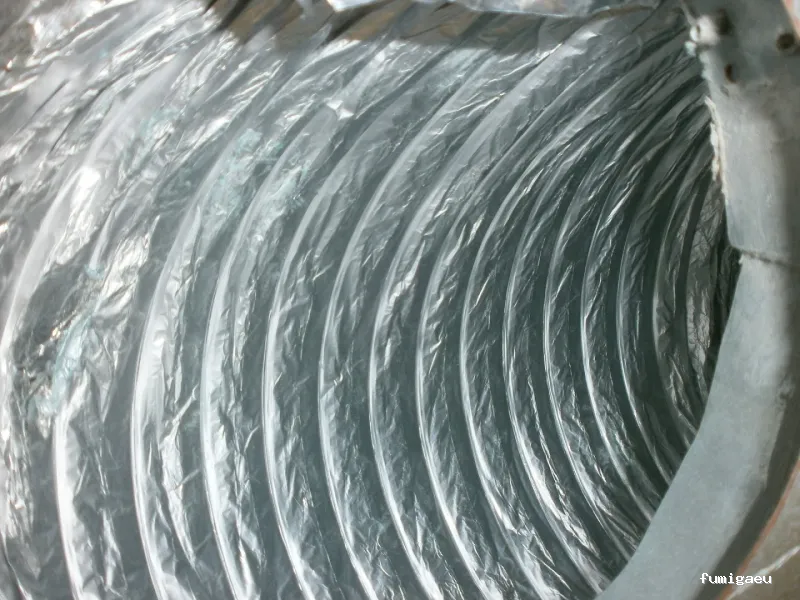 SELVAGGIA Higiene Ambiental