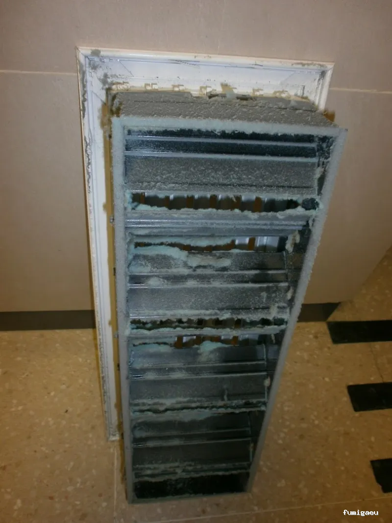 SELVAGGIA Higiene Ambiental