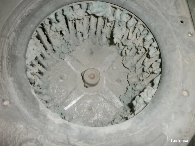 SELVAGGIA Higiene Ambiental