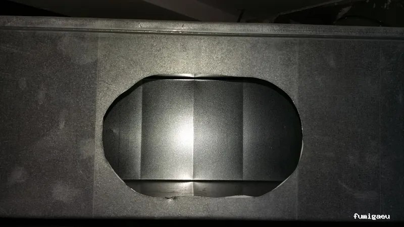 SELVAGGIA Higiene Ambiental