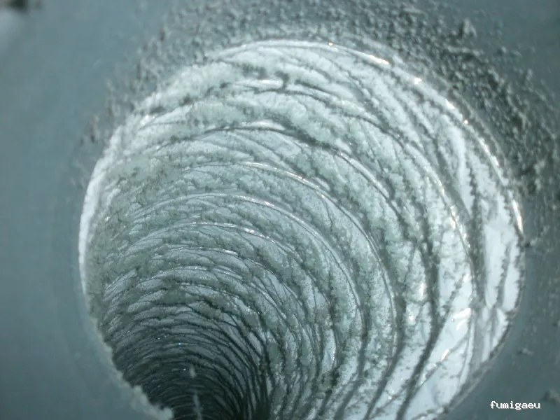 SELVAGGIA Higiene Ambiental