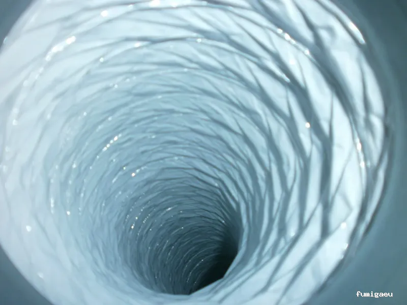 SELVAGGIA Higiene Ambiental