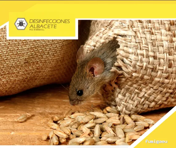 Desinfecciones Albacete