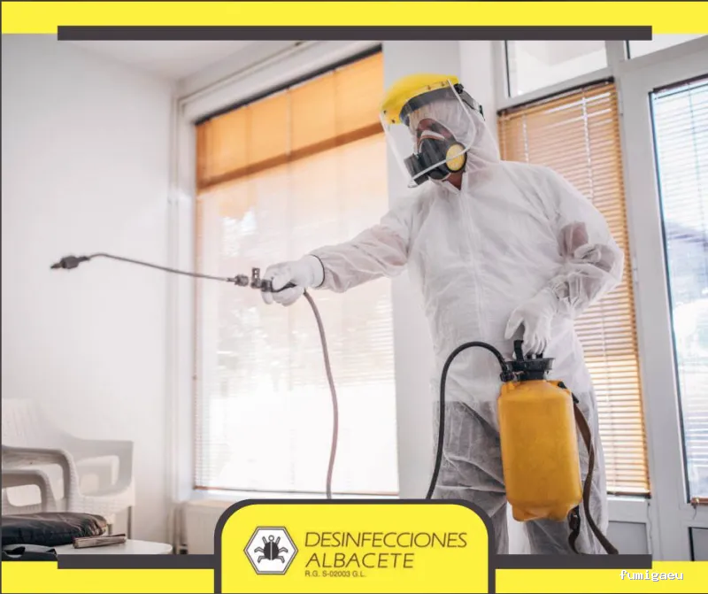 Desinfecciones Albacete