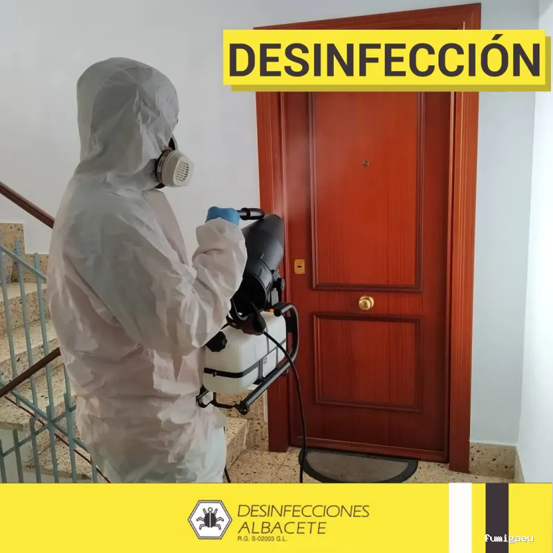 Desinfecciones Albacete